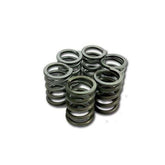 Nihilo Concepts Heavy Duty Clutch Springs TC/MC 65 (NCLS65)